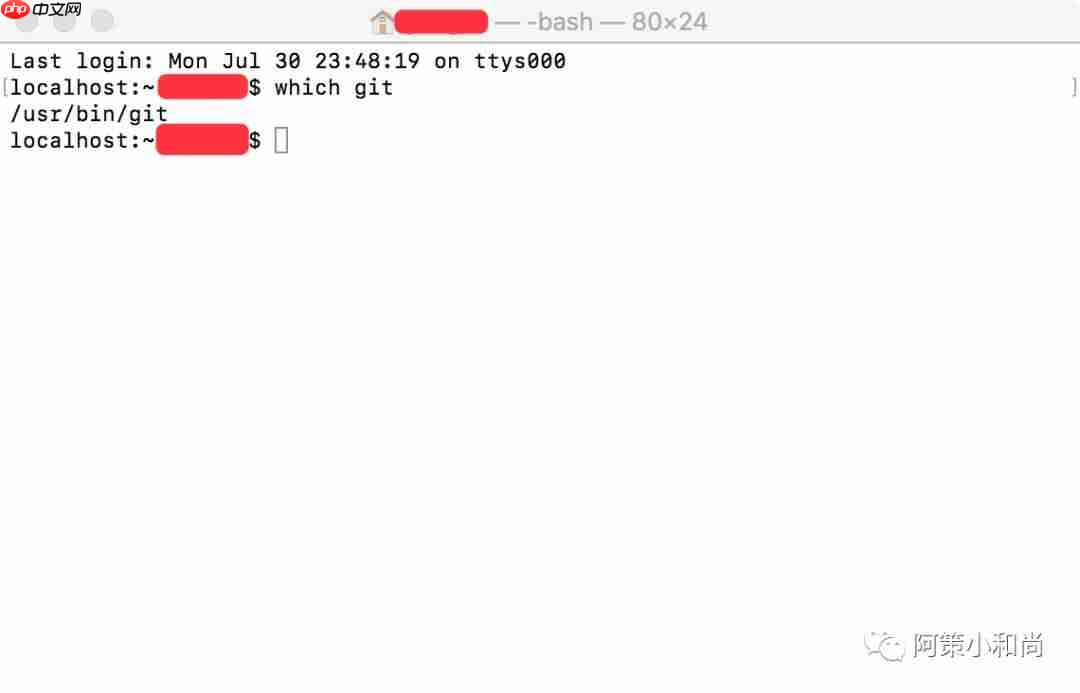 【Flutter 专题】02 图解 Mac 环境下安装配置环境