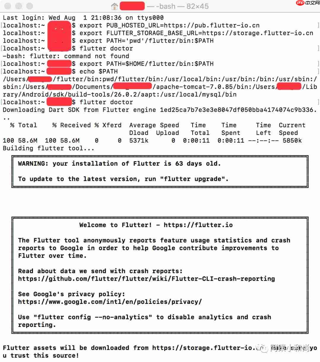 【Flutter 专题】02 图解 Mac 环境下安装配置环境