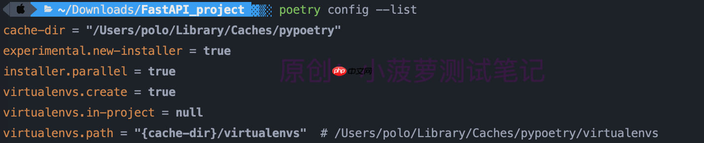 Python - poetry(3)配置项详解