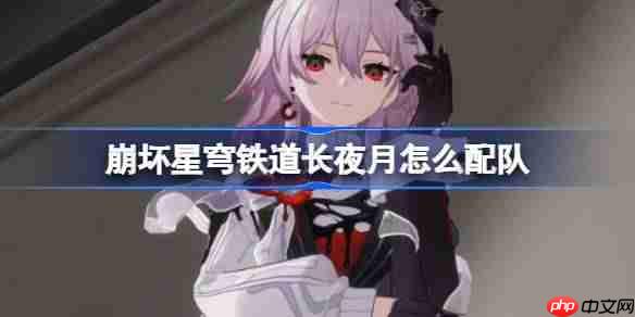 崩坏星穹铁道长夜月怎么配队-崩铁长夜月阵容搭配推荐