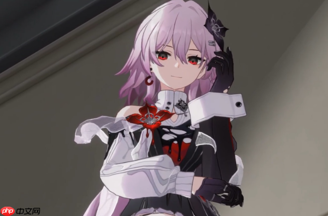 崩坏星穹铁道长夜月怎么配队-崩铁长夜月阵容搭配推荐