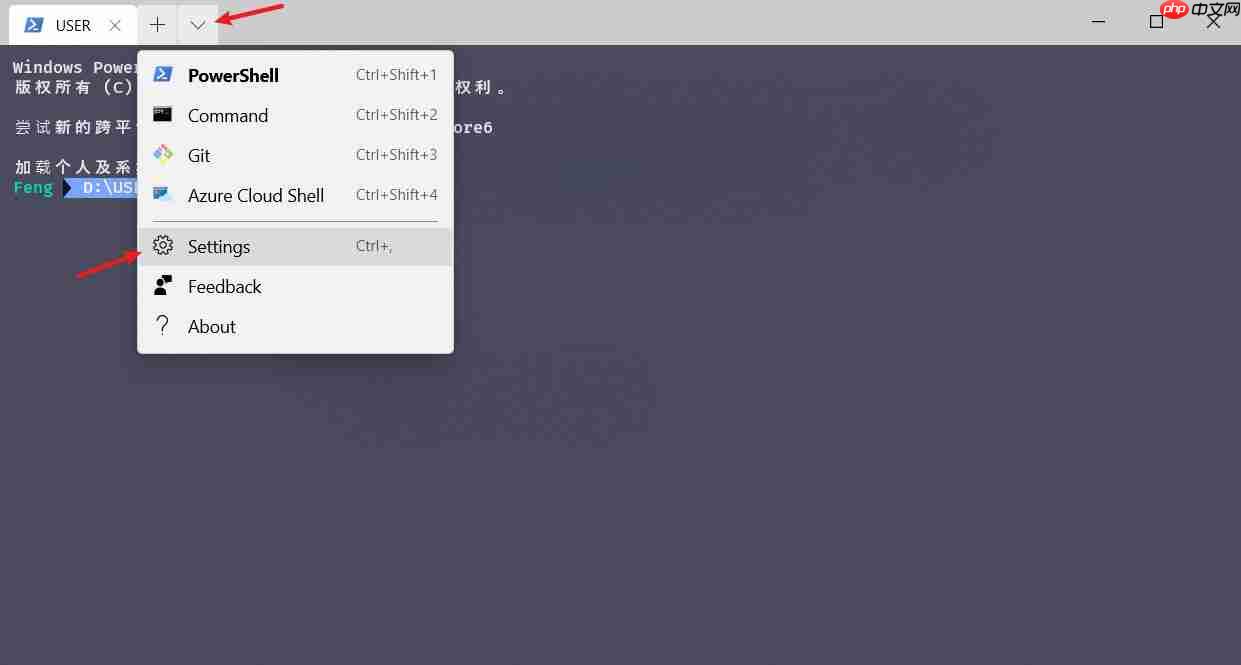 Windows Terminal安装及美化