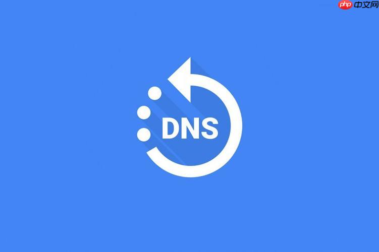 手机dns怎么检测_手机dns服务器状态检测方法指南