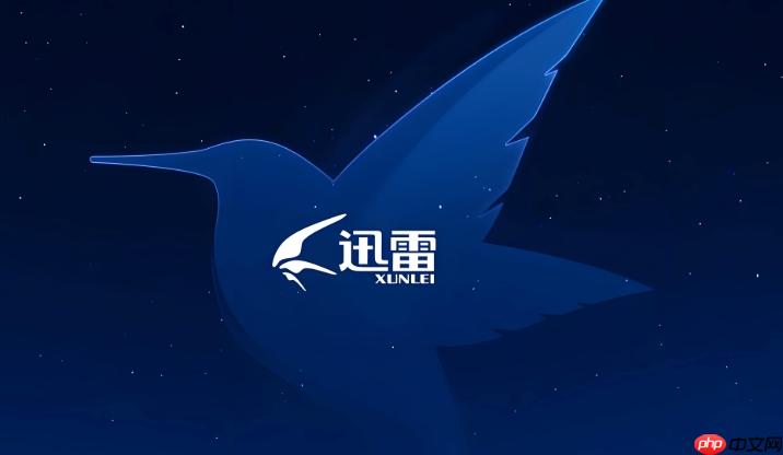 迅雷网盘如何破解下载限速 迅雷网盘会员加速的替代方案