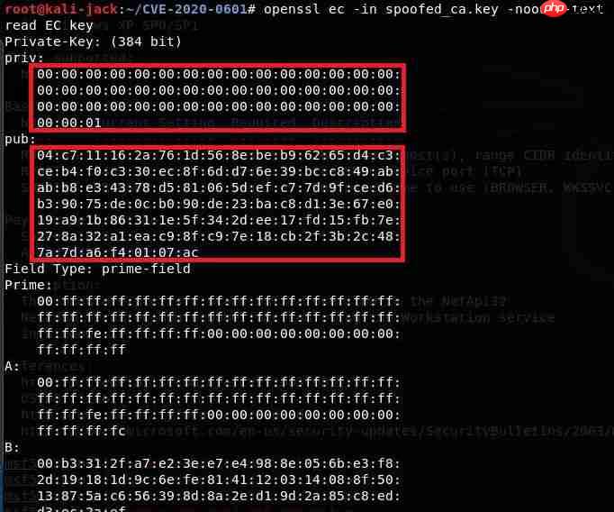 CVE-2020-0601：微软核心加密库漏洞学习心得
