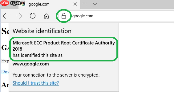 CVE-2020-0601：微软核心加密库漏洞学习心得