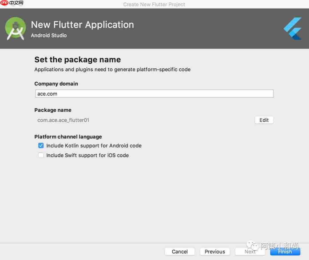 【Flutter 专题】 03 图解第一个程序 Hello World!