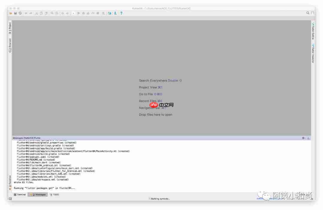 【Flutter 专题】 03 图解第一个程序 Hello World!