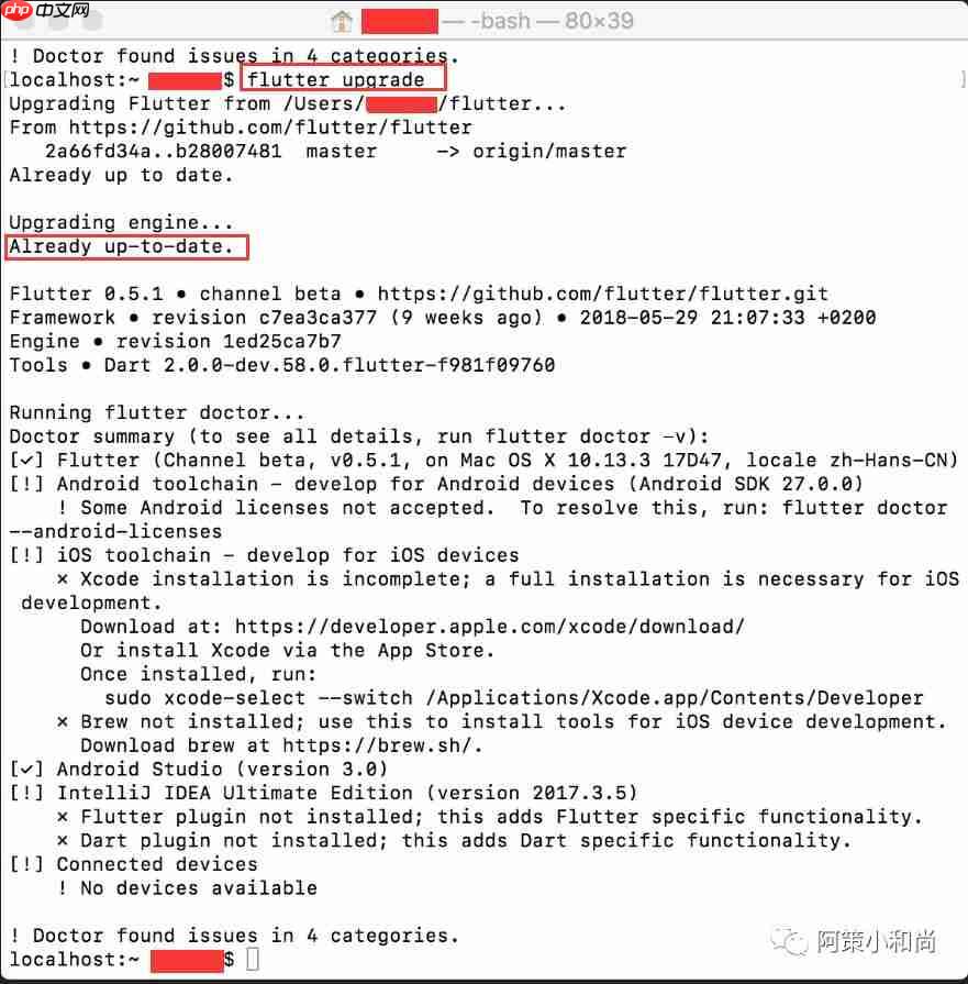 【Flutter 专题】 03 图解第一个程序 Hello World!