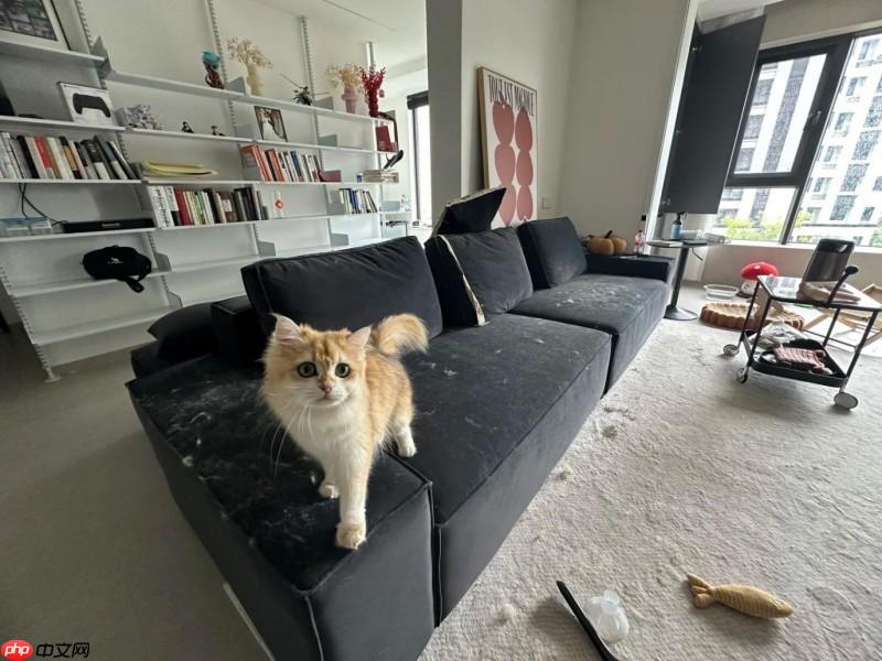 养宠家庭必看：除螨仪到底要不要买？多久用一次？友望大白Ultra给答案