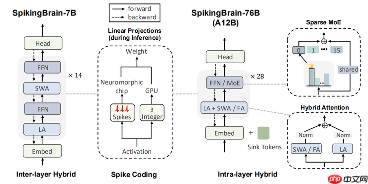 不靠英伟达,中科院在国产 GPU 上跑通 76B 类脑大模型