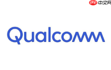 高通:95%的用户愿为搭载骁龙心片的高端手机溢价买单