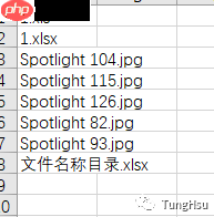 如何将文件名称批量导入excel