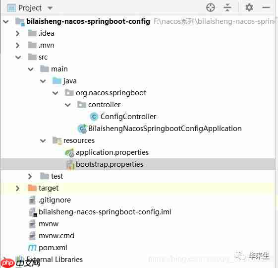 【Nacos系列第三篇】- Nacos之Spring Boot Config