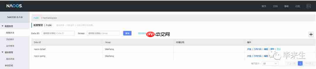 【Nacos系列第三篇】- Nacos之Spring Boot Config