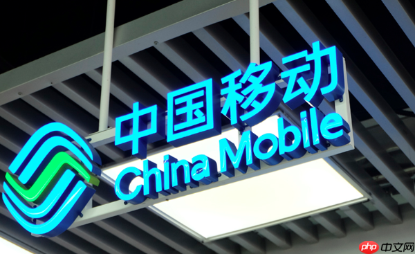 中国移动App如何办理国际流量包 中国移动App出境上网的必备指南