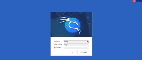 利用Windows远程连接kali（附公网方案）