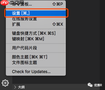 「R」使用  Cascadia Code 字体