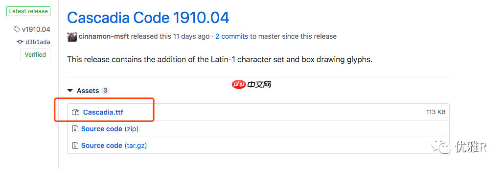 「R」使用  Cascadia Code 字体