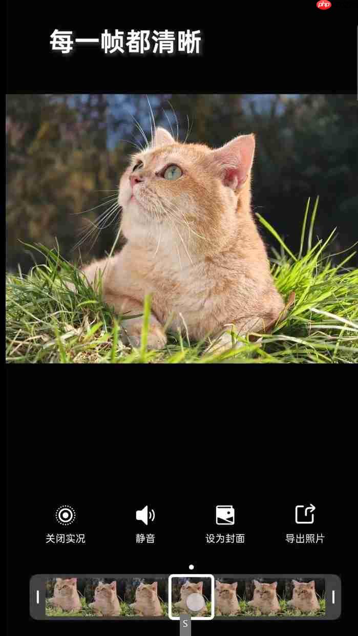 OPPO Find X9系列首发4K超清实况照片,引领影像新纪元