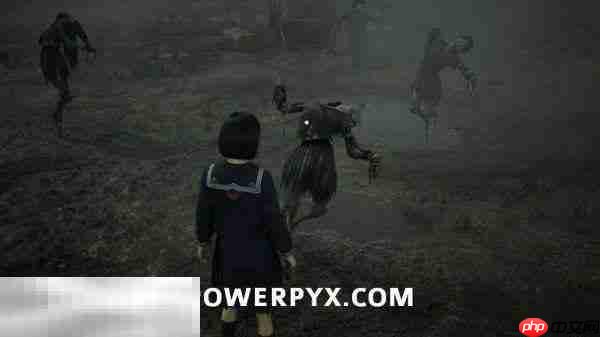 寂静岭f戎之丘田地谜题怎么解 戎之丘田地解谜攻略