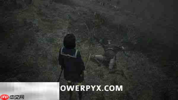 寂静岭f戎之丘田地谜题怎么解 戎之丘田地解谜攻略