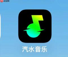 汽水音乐如何下载高品质音乐 汽水音乐音质选择的省钱技巧