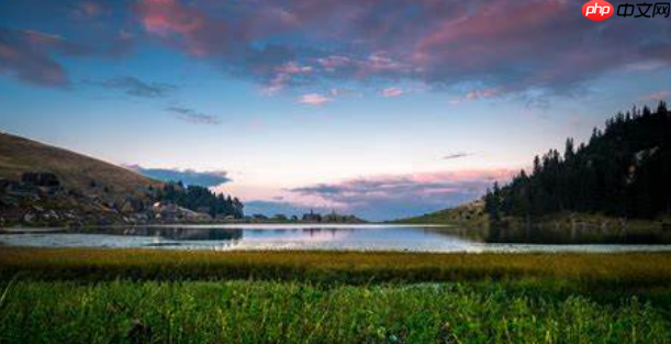 SAP 中关于编码的解释