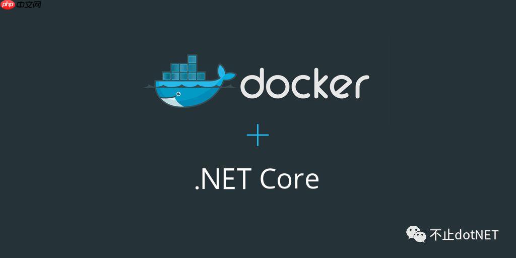 dotnet Core中使用Aspose（部署Docker）