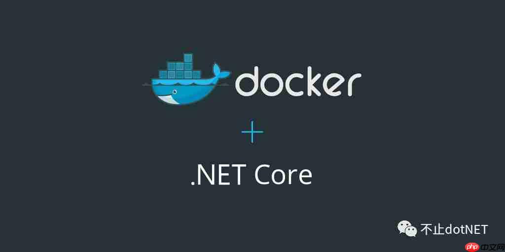 dotnet Core中使用Aspose（部署Docker）