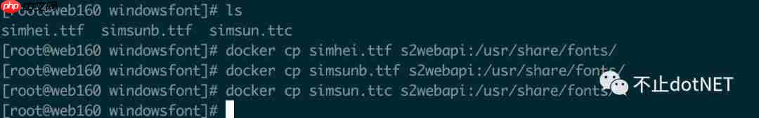 dotnet Core中使用Aspose（部署Docker）