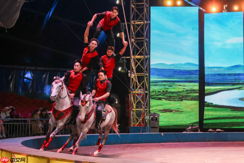 海合安文旅武汉、天津极地海洋度假区揭牌,创行主题化生活方式