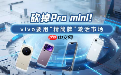 砍掉Pro mini！vivo要用&ldquo;精简牌&rdquo;激活市场