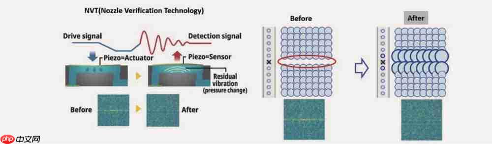 为产能突破而生！爱普生SurePressL-5034数码标签印刷机重磅上市