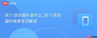 双11京东国补是什么_双11京东国补政策官方解读