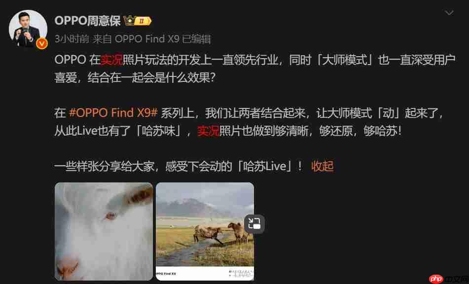 OPPO Find X9 Pro曝光:1.5K直屏+极窄四等边设计