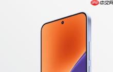 传小米15系列全球发货量超700万 生命周期或达850万