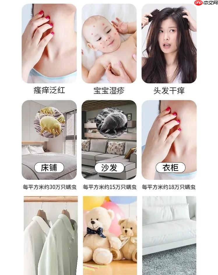 过敏性鼻炎总反复？选对除螨方法+ 工具，鼻子终于不遭罪