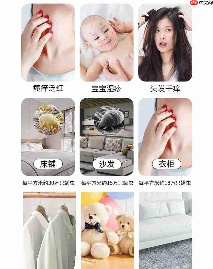 过敏性鼻炎总反复?选对除螨方法+ 工具,鼻子终于不遭罪