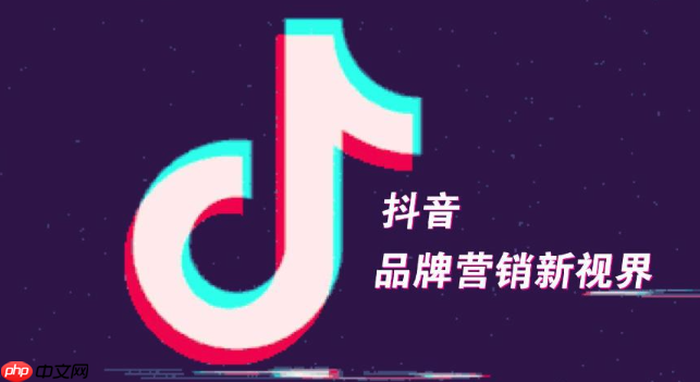 抖音网页版背景音乐怎么听_抖音网页版视频背景音乐识别