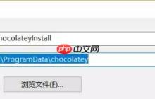 神器 | windows包管理工具