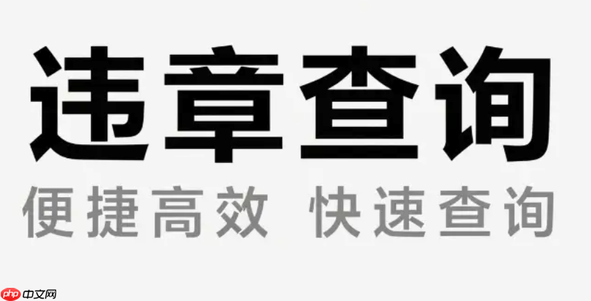 交管12123补领驾驶证如何申请_交管12123补领驾驶证线上办理指南