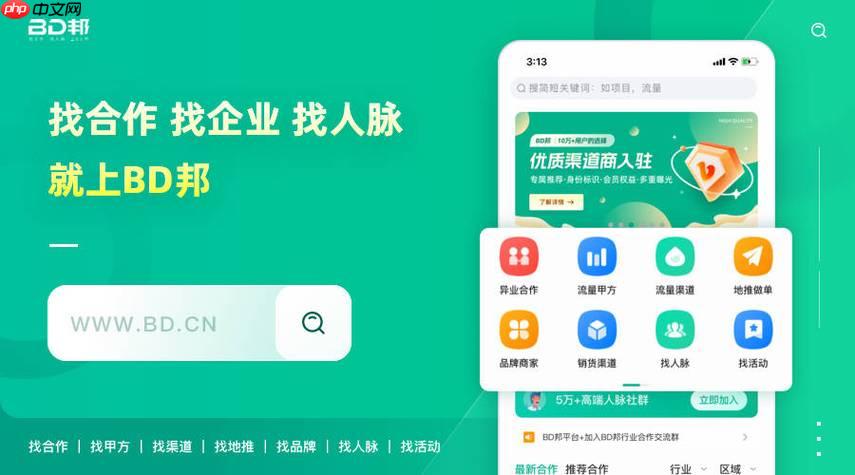 任推邦如何设置预算与出价策略 任推邦成本控制的优化技巧