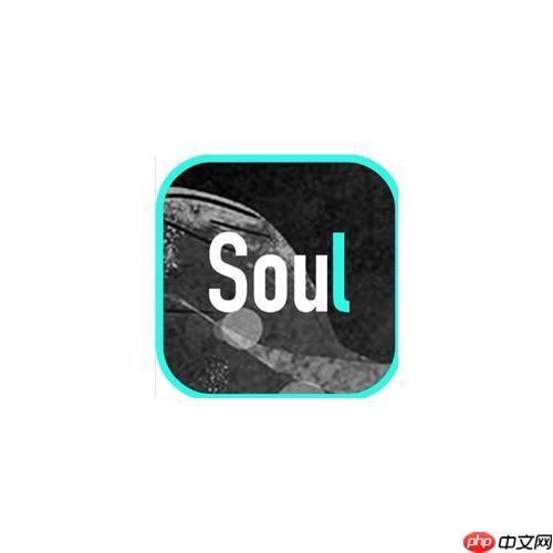 Soul如何查看自己的粉絲_Soul查看粉絲列表操作指南