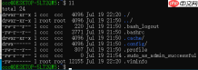 WSL:在 Windows 系统中开发 Linux 程序的又一神器
