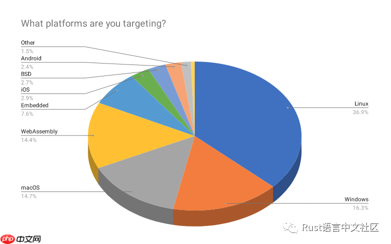 Rust 开发者的 2019 年