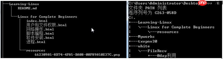 文件系统特殊命令一览表