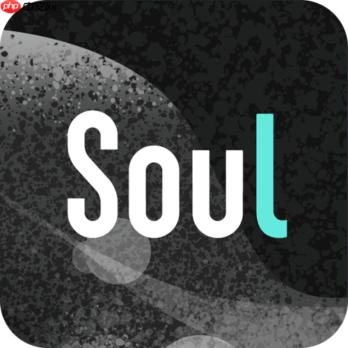 Soul如何申請官方認證_Soul申請官方認證詳細指引
