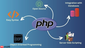 PHP怎么写接口_使用PHP实现数据库交互的API开发