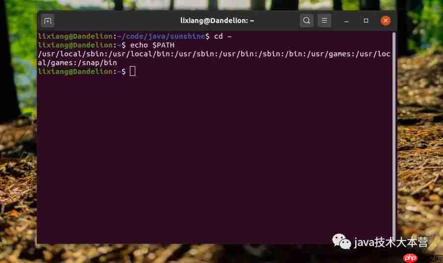 java学习应用篇|使用环境变量做一些工具